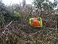 Fence damaged and canopy severely defoliated