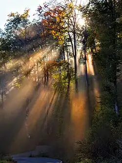 Light from the sun