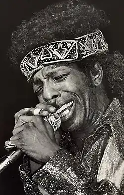 Stone in 1982