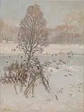 Snowy landscape