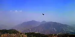 Solan city from Mount Karol