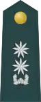 Middle commander