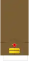 Teniente Coronel
