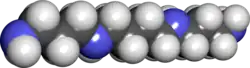 Spacefill model of spermine