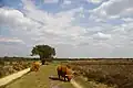 Speulderveld, near Speuld