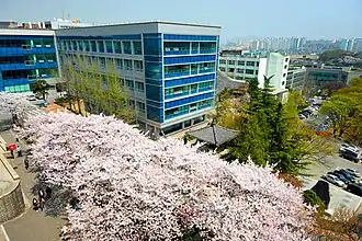 Spring