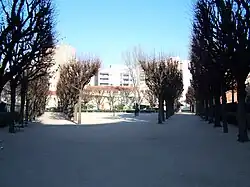 text
