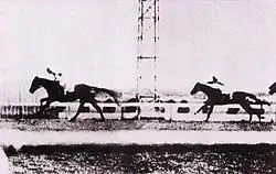 Kikuka Sho