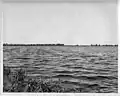 Water standing approximately three feet deep in fields of U.S. Sugar prepared for Fall cane planting, east of Canal Point - Port Myacca Highway and south of the USDA's Sugarcane Experiment Station. Note flooded mature sugarcane field in the background. Photograph taken October 6, 1947, from Canal Point Townsite.