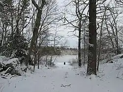 Stearns Pond