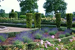 Manicured garden