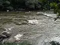 Struma at Kresna Gorge