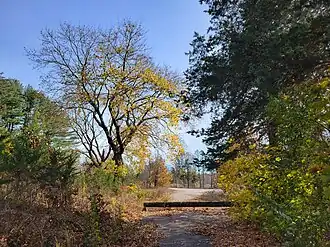 Roadway