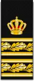 Swedish Police