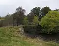 Swinging Bridge Over River Isla