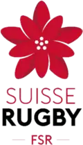Shirt badge/Association crest