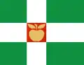 Flag of Türi Parish