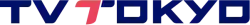 The network's current English logo, used for international operations.