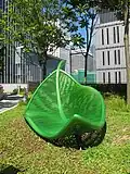 Photosynthesis in Motion
