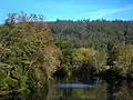 Tambre River.