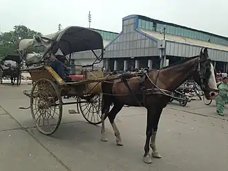 Tanga in Saharanpur, Uttar Pradesh, India