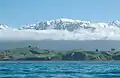 Te ao Whekere from east