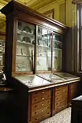 Cabinet 4 with fish