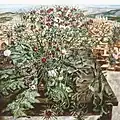 The Greater Burdock (2005)