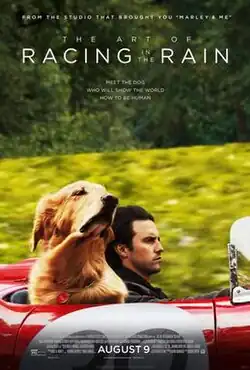 A man driving a convertible car with his dog seated beside him