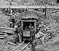 The Never-Sweat Company tunnel, Williams Creek. 1867–1868.