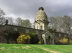 Dunmore Pineapple