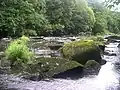 River Tamar