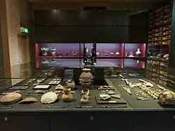 Exhibition in UMUT