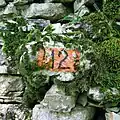 The trail 12 in Arina, frazione di Lamon