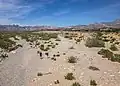 Looking at Red Rock Wash