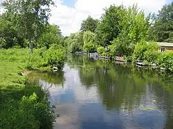 Tiefwerder Wiesen