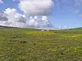 Tienie Versfeld Wildflower Reserve