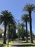 Queens Park Botanic Gardens 2017