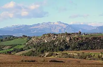 Topallı (2015)
