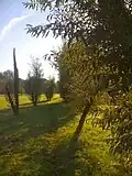 Topiary garden