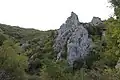 Toponica river canyon.