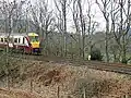 A train at the south end of the valley