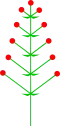 Opposite flowers