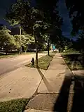 A tree lawn with street trees in Shaker Heights, Ohio