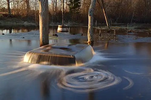 Tuhala "Witch's Well"