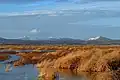 Tule Lake lower marsh