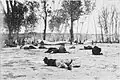 Cholera epidemic near Tundzha River