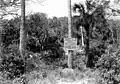 Turtle Mound in 1929