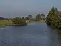 The Regge near Daarle