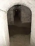 Example of a cell